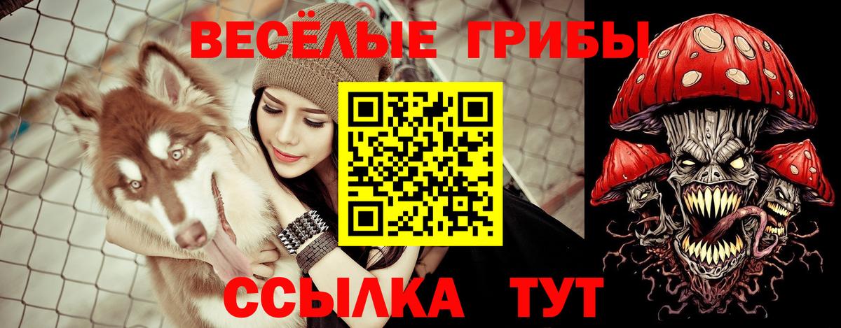 Галлюциногенные грибы GOLDEN TEACHER  Вход с VPN  Лесосибирск 
