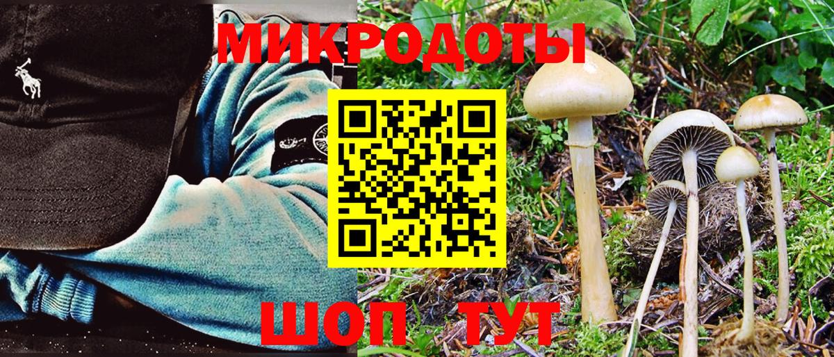 Галлюциногенные грибы ЛСД Лесосибирск